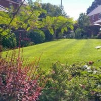 Lawn cutting service and lawn care
