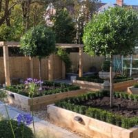 Raised Beds, Pathways, Shrubs, Trees, Fencing