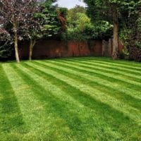 Turfing supplied & Installed