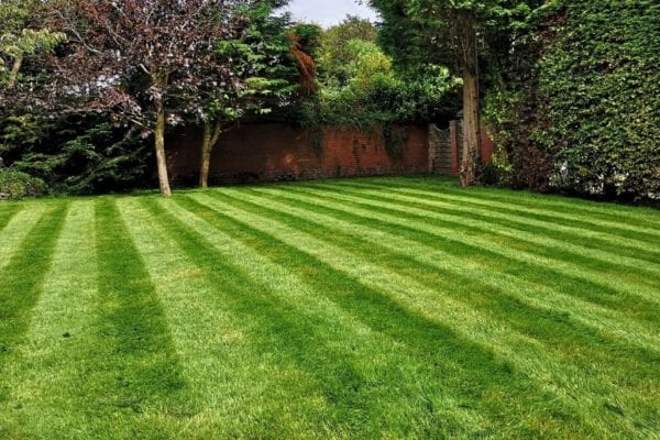 Turfing supplied & Installed