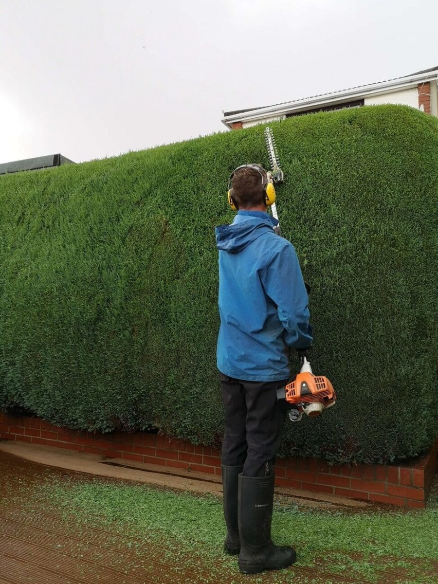 Tree work/felling & Hedge cutting