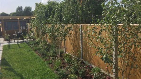 Fencing & Trees
