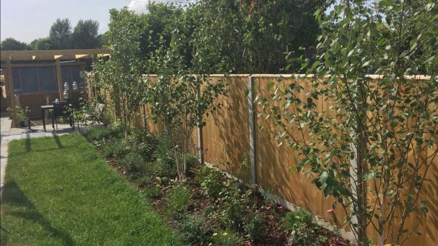 Fencing & Trees