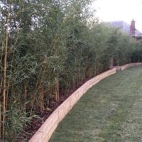 Garden Borders, Turfing and Trees