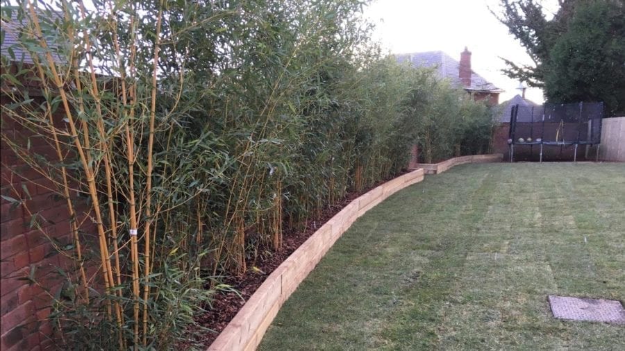 Garden Borders, Turfing and Trees