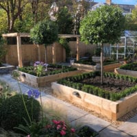 Raised Beds, Pathways, Shrubs, Trees, Fencing